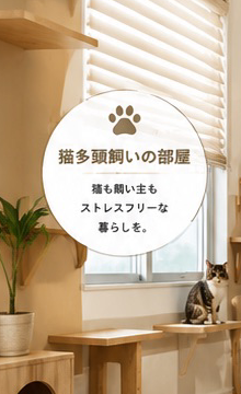 猫多頭飼いの部屋